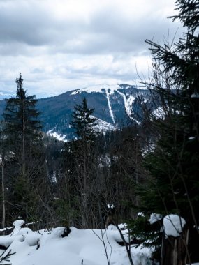 Karla kaplı ağaçlarla kaplı güzel kış manzarası