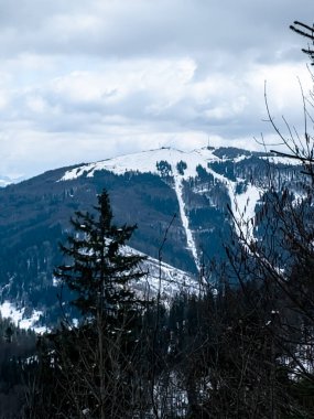Arkadaki karlı dağların dikey görüntüsü.