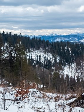 Önünde dağ olan kış manzarası ve karla kaplı ağaç..