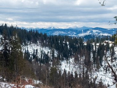 Karla kaplı ağaçlarla kaplı kış manzarası