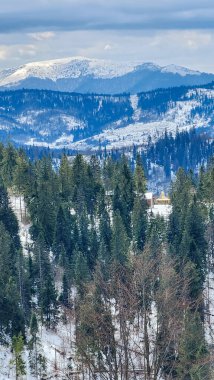 Güneşli bir kış gününde güzel karlı dağlar ve ormanlar