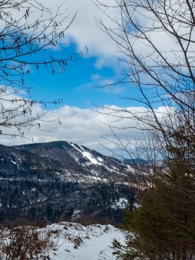 Kışın ormanla kaplı dağın güzel bir görüntüsü.