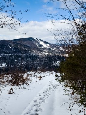 Karlı kış ormanı. Dağlarda yamaçlar var.