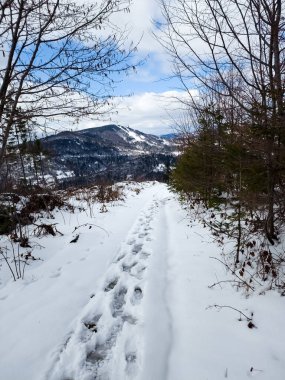 Karlı dağlarda kış yürüyüşü patikası