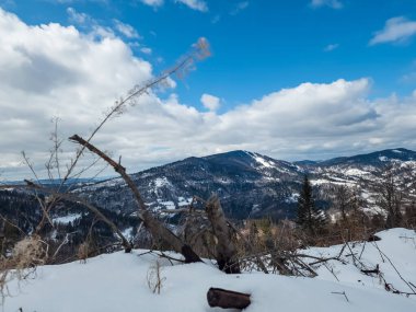 Kışın karlı bir dağın güzel manzarası.