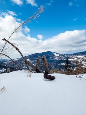 Karla kaplı ağaçlarla kaplı kış manzarası