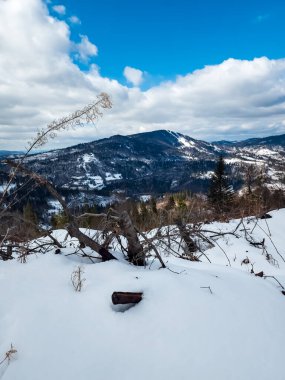 Ağacıyla karlı bir dağın güzel manzarası