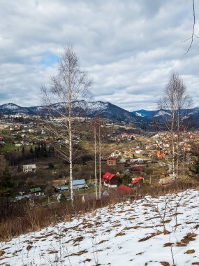 Kış manzarasında karlı bir ormanın güzel manzarası.