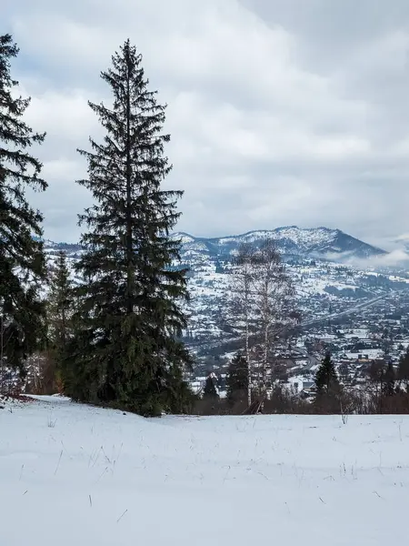 Karla kaplı ağaçlar ve dağlarla kaplı kış manzarası