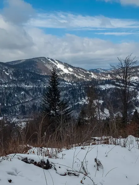 Dağlarda dağları olan güzel bir manzara.