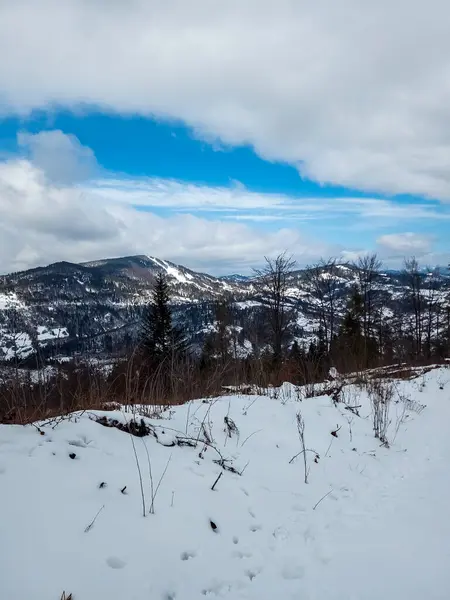 Dağlarda kış manzarası, kar ve bulutlu bir gün.