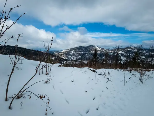 Kışın dağların güzel manzarası