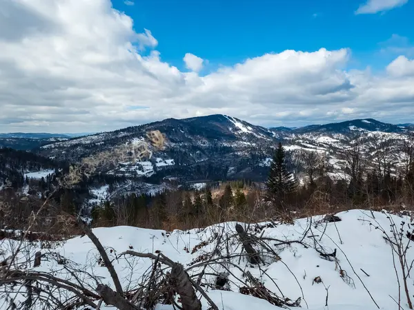 Ukrayna dağlarının güzel manzarası
