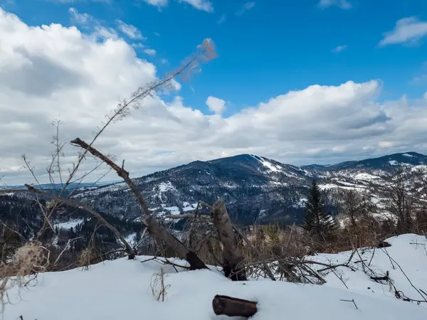 Kışın karlı bir dağın güzel manzarası.