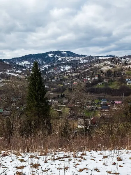 Karla kaplı ağaçlarla kaplı güzel kış manzarası