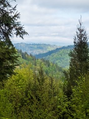 Yazın dağın tepesinden manzara.