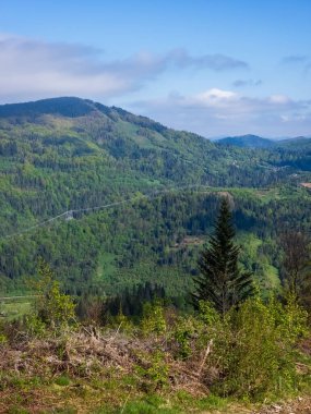 Arkasında bir dağ olan güzel bir manzara.