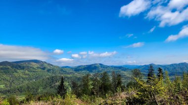 Ukraynalı Karpatların güzel manzarası