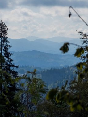 Ağaçlı dağların dikey görüntüsü.