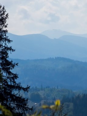 Karpatya, Slovakya 'da güzel bir dağ manzarası