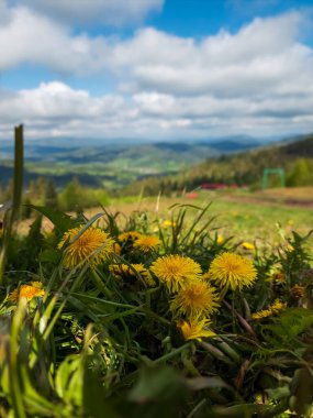 Doğa manzarası çok güzel.