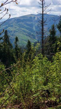 Dağların güzel manzarası