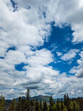 Güzel bir manzara Ağacı ve mavi gökyüzü