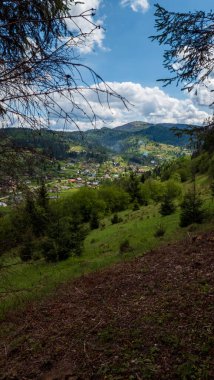 Yazın Karpatların köyü.