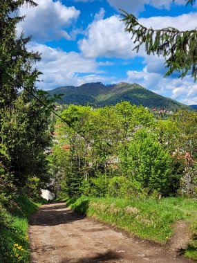 Doğanın güzel manzarası