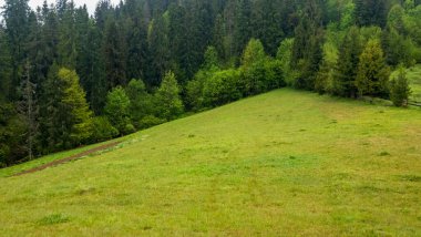 Dağların arkasındaki yeşil çimenler ve ormanlar