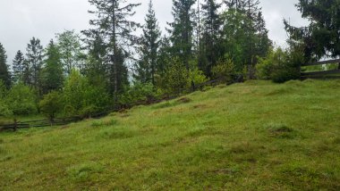 Karpat Dağları'nın güzel manzara