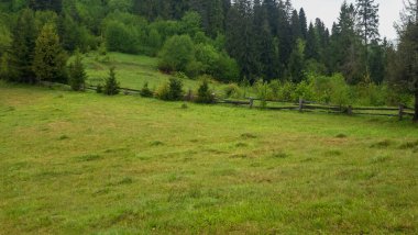 Dağlarda yeşil çayır.