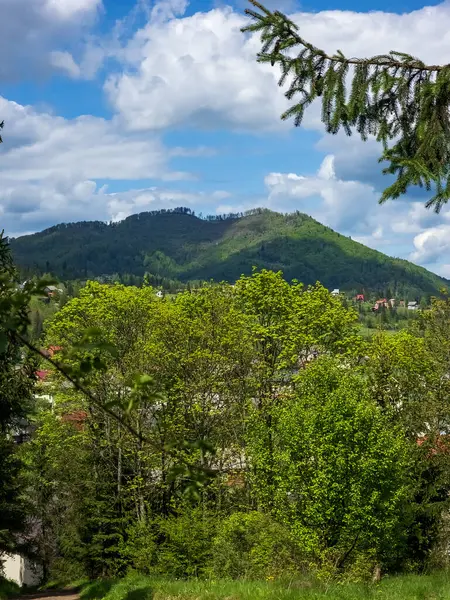 Slovakya 'daki bir köyde ormanın güzel bir manzarası.