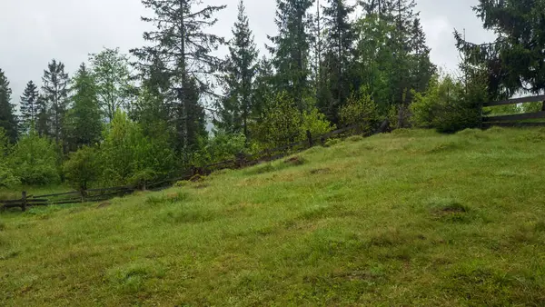 Karpat Dağları'nın güzel manzara