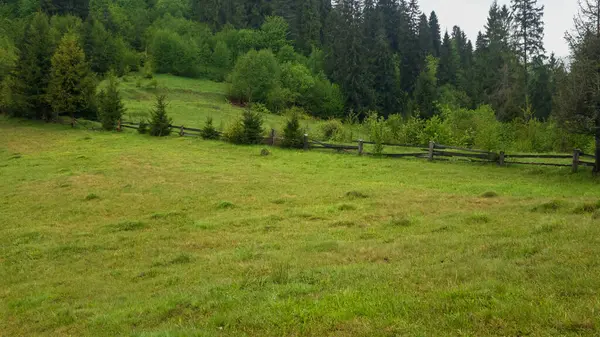 Dağlarda yeşil çayır.