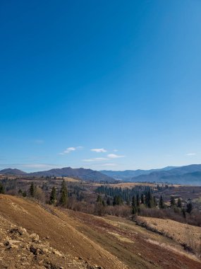 Arkasında ağaç olan güzel bir manzara.