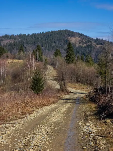 Kırsalda yolu olan güzel bir manzara.