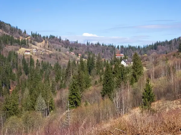 Doğanın güzel manzarası