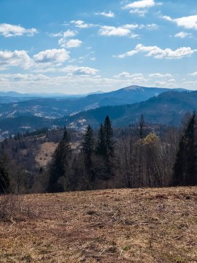 Ormanda dağ zirvesi olan bahar manzarası.