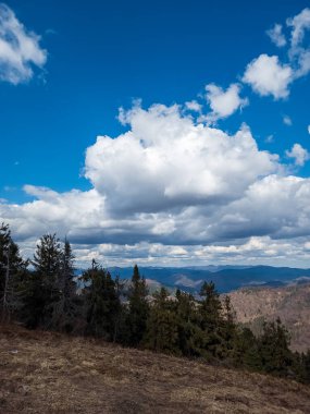 Karpat Ormanı 'nın sıradağları