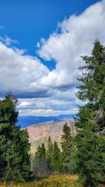 Ağaçlar ve ormanlarla dolu güzel sonbahar manzarası