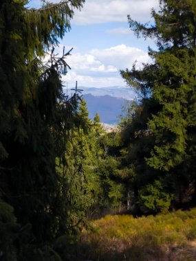 Dağların güzel manzarası