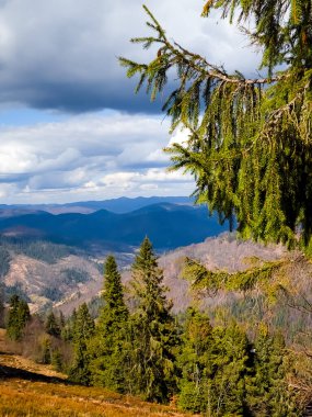 Karpatlar 'da sonbahar sıradağları