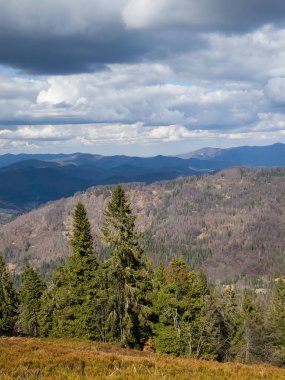 Sonbaharda dağ ormanının güzel bir görüntüsü.