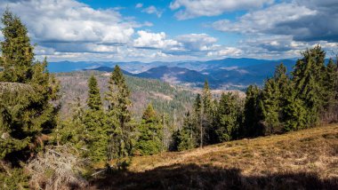 Arka planda ağaçlar olan güzel dağ ormanları