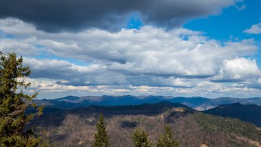 Ormandaki dağların güzel manzarası.