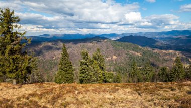 Karpatlar 'da sonbahar manzarası