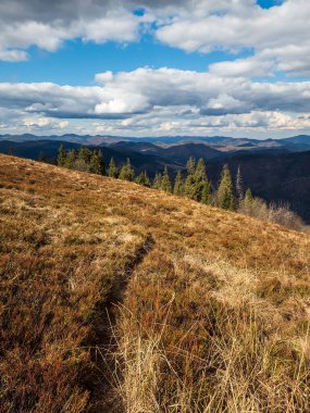 Renkli ormanlı sonbahar manzarası