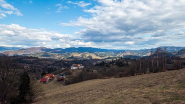 Güneşli bir günde güzel bir sonbahar ormanı