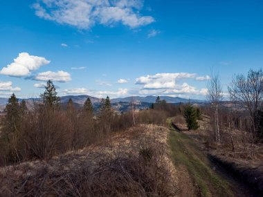 Bir dağ ve ormanı olan güzel bir manzara.